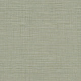 Lotus Silk Sea Foam faux grasscloth wallpaper texture in soft green by York Wallcoverings