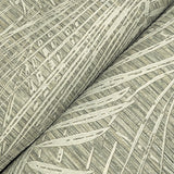 Della Palm Dark Taupe by York Wallcoverings Vinyl on Non Woven Wallpaper – York Wallcoverings SI50612
