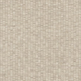 York Wallcoverings Lemuria Beige Wallpaper SI6571 roll and pattern