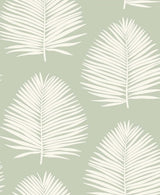 Island Palm wallpaper in celadon green with large ivory palm fronds