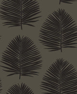 Island Palm wallpaper in Lava Rock colorway featuring large palm fronds in black on a deep charcoal ground.
