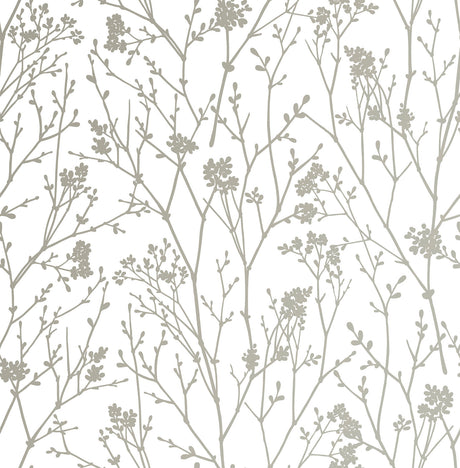 Whistler Grey and White Botanical Branches Peel and Stick Wallpaper by NuWallpaper - SLW3416
