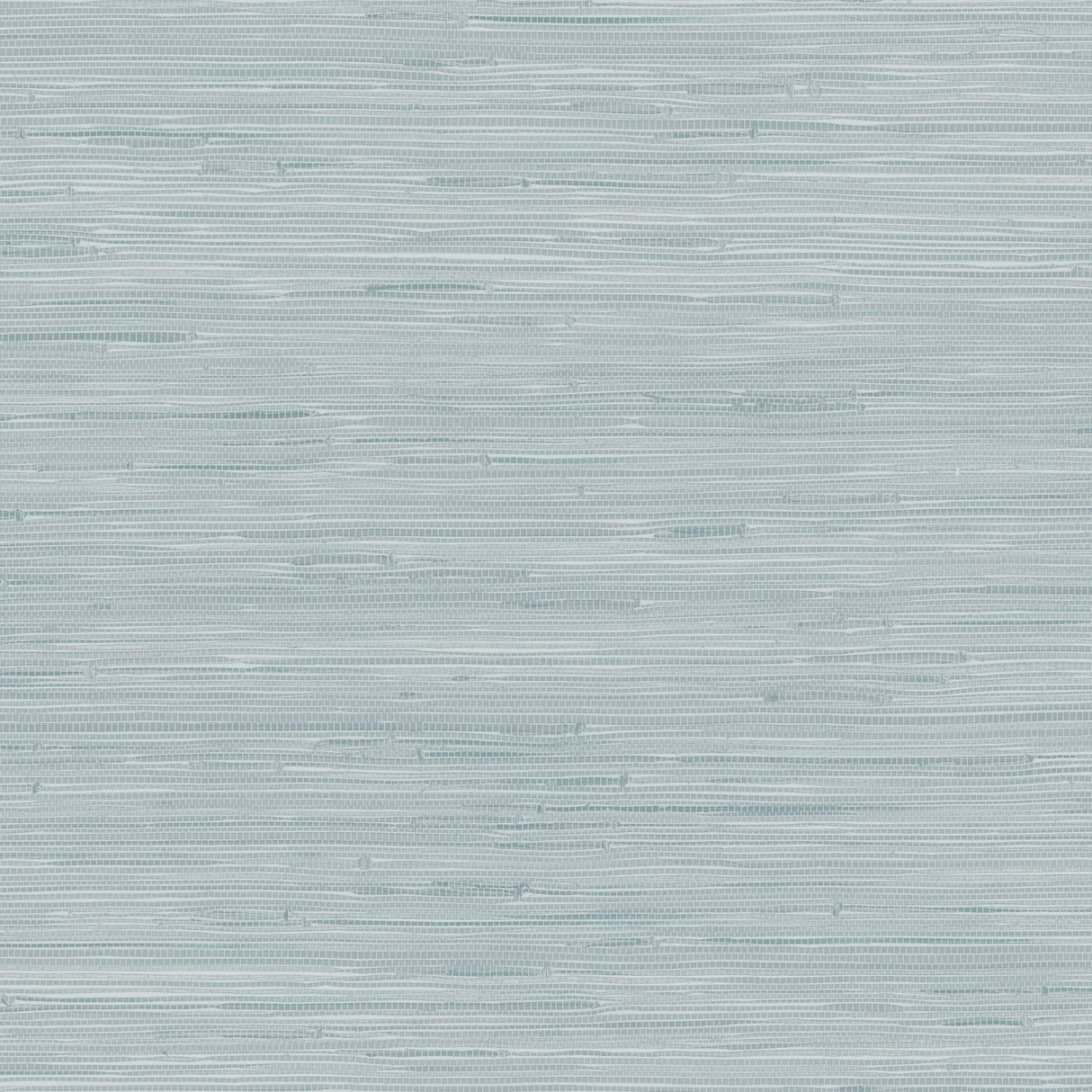 Seagrass Mist Self Adhesive Peel and Stick Wallpaper by NuWallpaper SLW3707