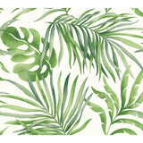 Paradise Palm Green Wallpaper with Tropical Palm Leaf Motif - York SO2450