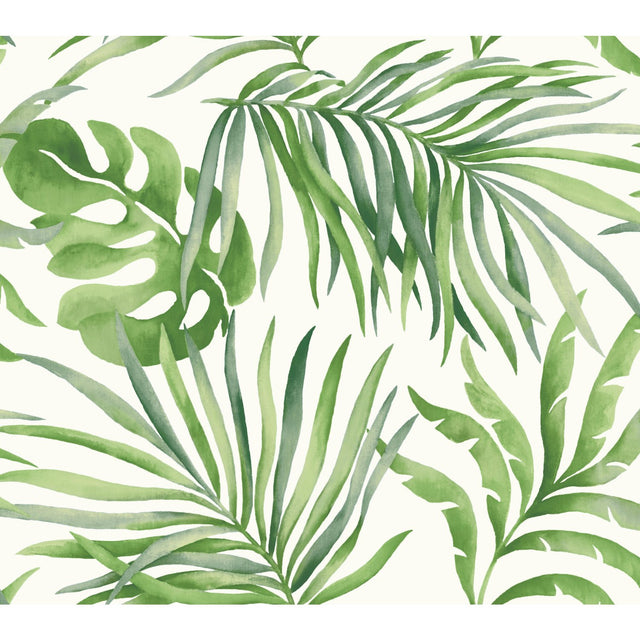 Paradise Palm Green Wallpaper with Tropical Palm Leaf Motif - York SO2450