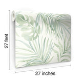Paradise Palm Light Green Wallpaper with Botanical Palm Leaf Pattern - York SO2452