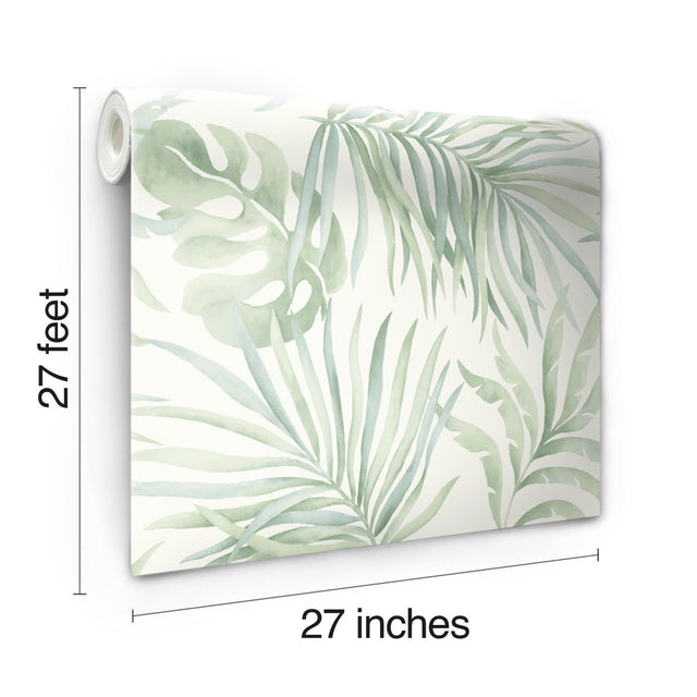 Paradise Palm Light Green Wallpaper with Botanical Palm Leaf Pattern - York SO2452