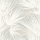 Palmetto Grey Wallpaper with Tropical Palmetto Leaf Pattern - York SS2541