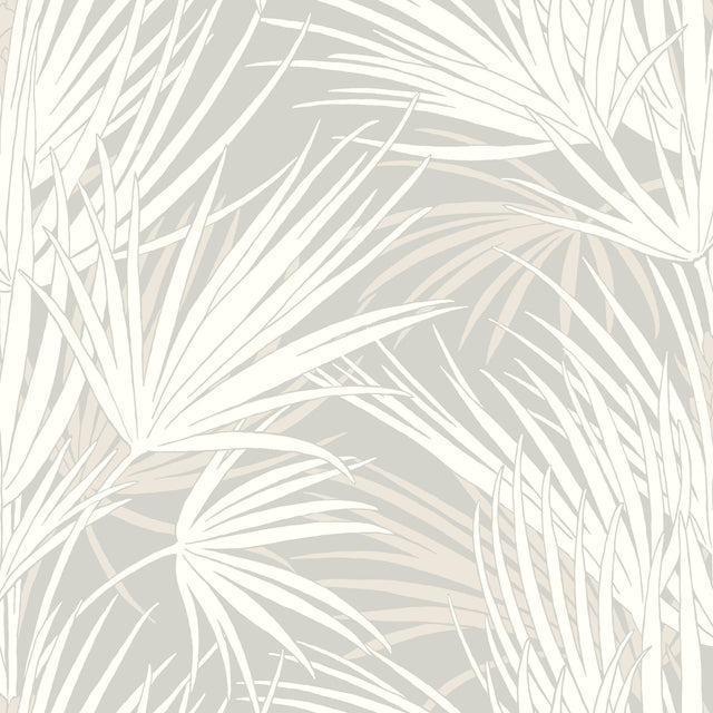 Palmetto Grey Wallpaper with Tropical Palmetto Leaf Pattern - York SS2541