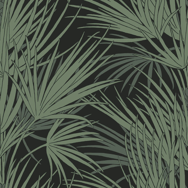 Palmetto Black & Green Wallpaper with Bohemian Tropical Palm Leaf Motif - York SS2542
