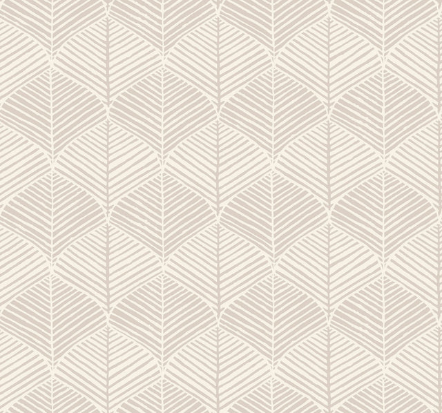 Palm Thatch Grey Wallpaper with Bohemian Botanical Chevron Leaf Pattern - York SS2567