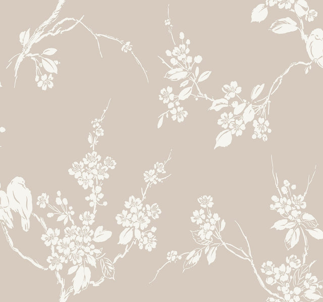 Imperial Blossoms Branch Taupe Wallpaper with Botanical Bird and Blossom Motif - York SS2591