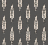 Juniper Tree Black & Taupe Wallpaper with Botanical Modern Tree Motif - York SS2607