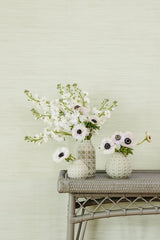 Classic Faux Cucumber Grasscloth Green Textured Peel & Stick Wallpaper with Faux Grasscloth Motif - NuWallpaper SSS6007
