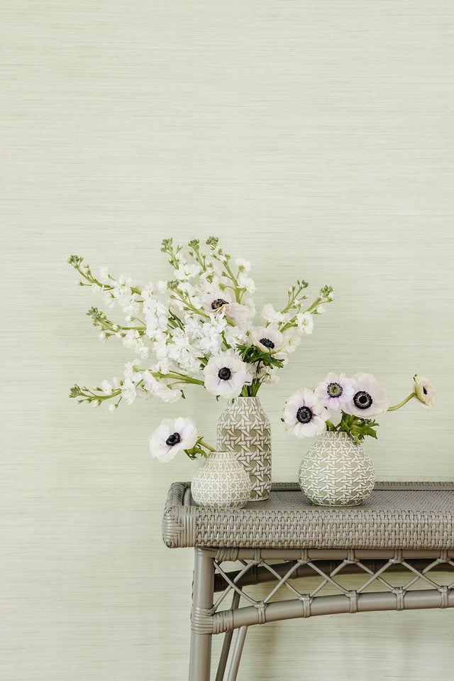 Classic Faux Cucumber Grasscloth Green Textured Peel & Stick Wallpaper with Faux Grasscloth Motif - NuWallpaper SSS6007