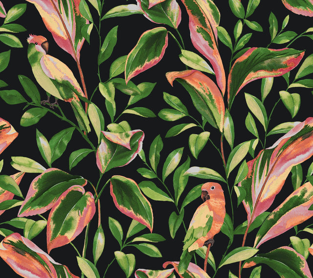 Tropical Love Birds Black Wallpaper with Botanical Parrot Motif - York TC2651