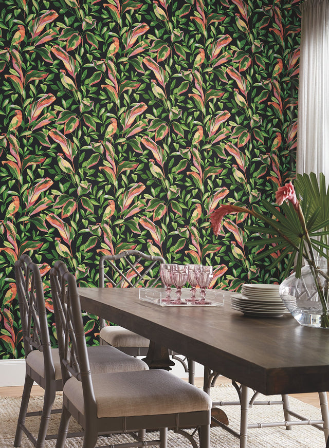 Tropical Love Birds Black Wallpaper with Botanical Parrot Motif - York TC2651