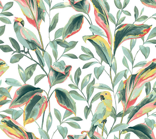 Tropical Love Birds White & Coral Wallpaper with Botanical Parrot Motif - York TC2653