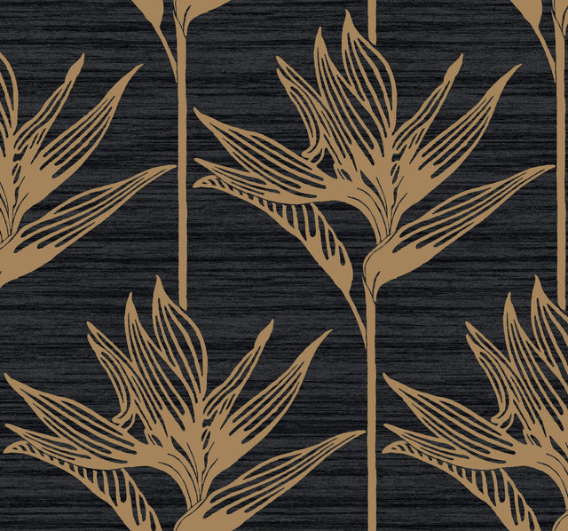 Bird of Paradise Black & Gold Wallpaper with Botanical Tropical Motif - York TC2674