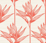 Bird of Paradise Coral Wallpaper with Botanical Tropical Motif - York TC2676
