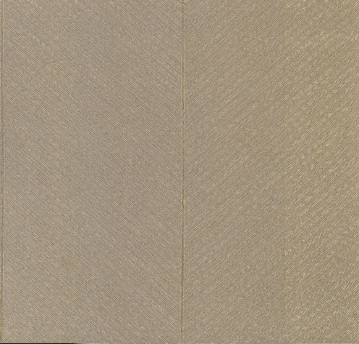 Palm Chevron Taupe & Gold Wallpaper with Metallic Palm Chevron Texture - York TC2699