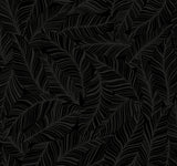 Rainforest Canopy Black Wallpaper with Botanical Palm Leaf Motif - York TC2712