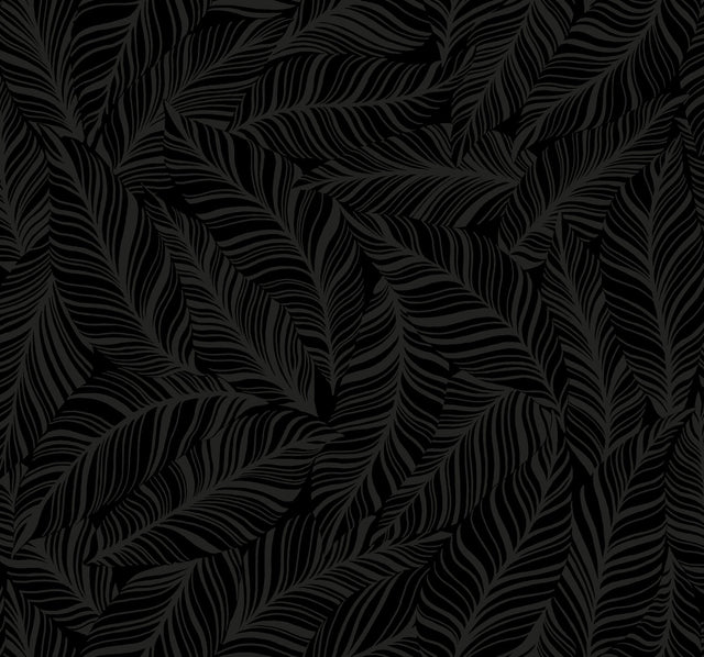 Rainforest Canopy Black Wallpaper with Botanical Palm Leaf Motif - York TC2712