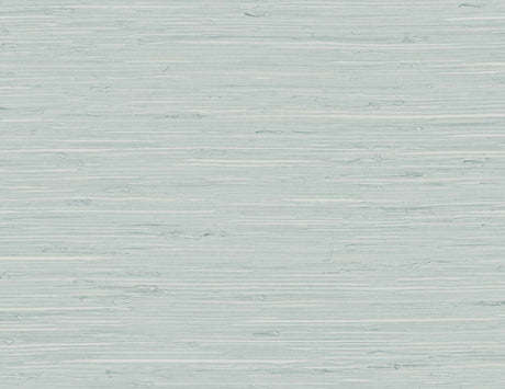 Marion Faux Arrowroot faux grasscloth wallpaper in Pale Sky blue with subtle horizontal texture