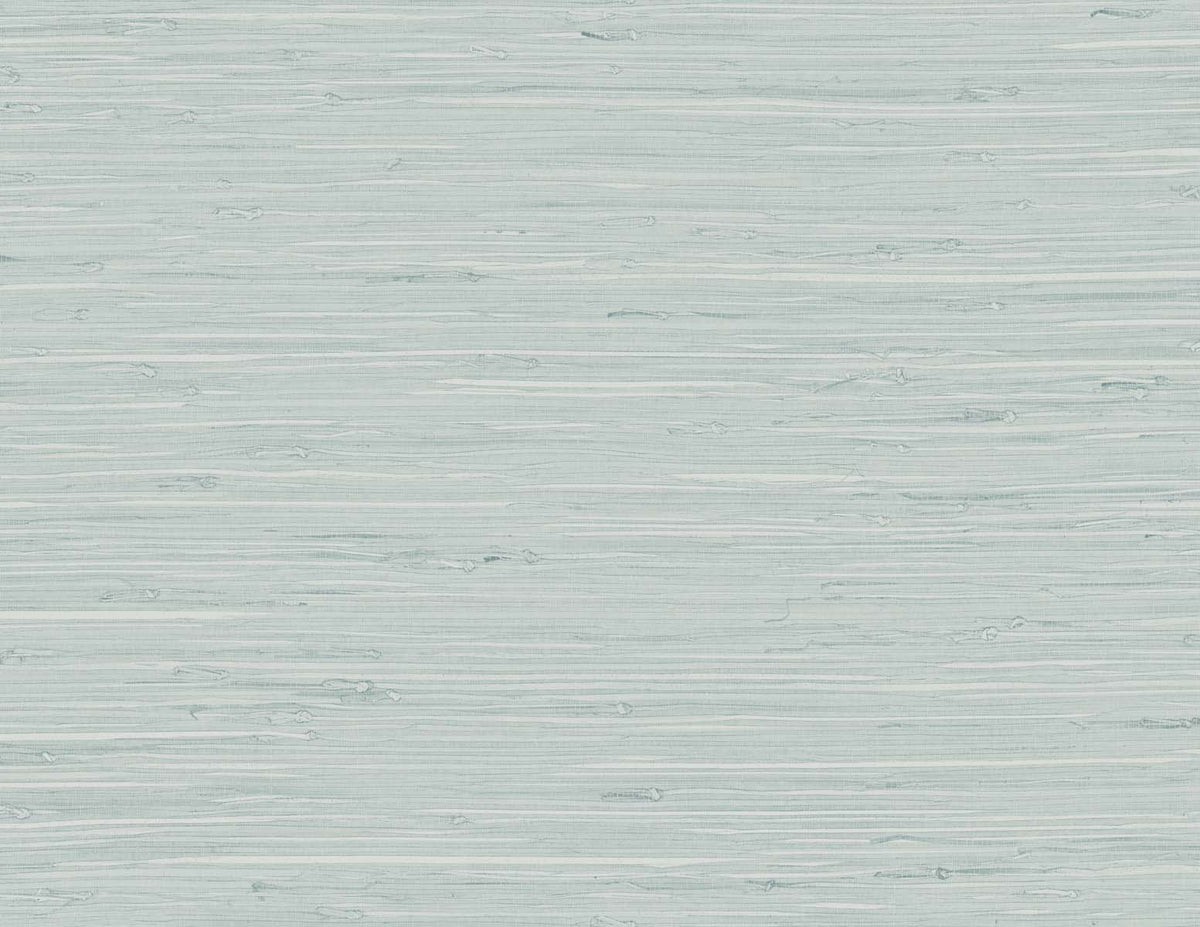 Marion Faux Arrowroot Pale Sky by Tedlar Textures Faux Grasscloth Type II Vinyl Wallpaper – DuPont TG60519 -Sample