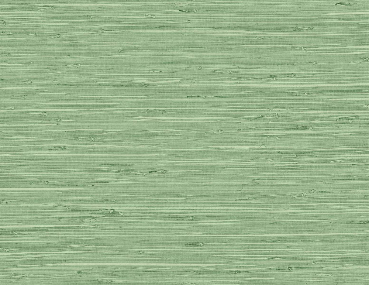 DuPont Marion Faux Arrowroot wallpaper in Spring Forest green faux grasscloth texture (TG60534)