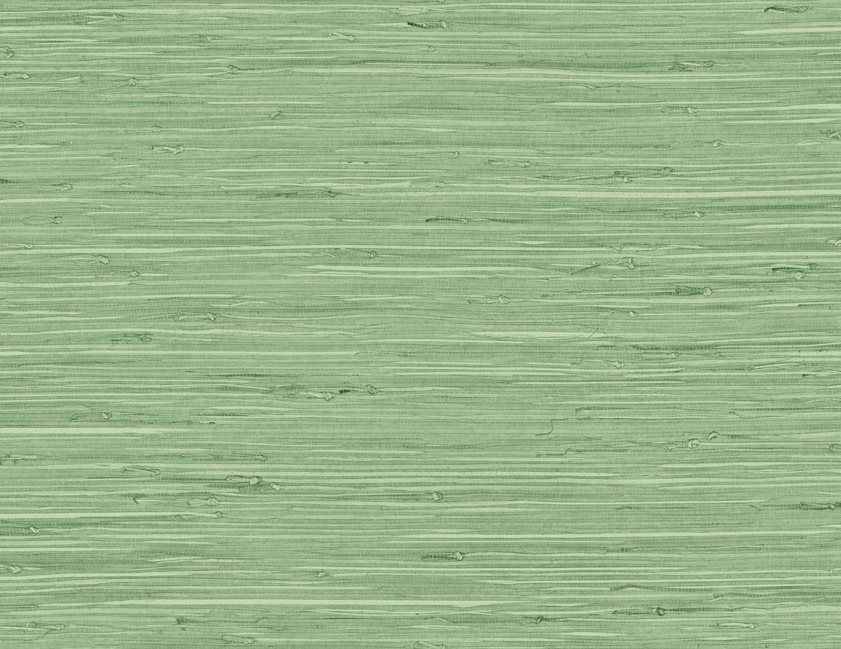 Marion Spring Forest by Tedlar Textures Faux Grasscloth Wallpaper – DuPont TG60534