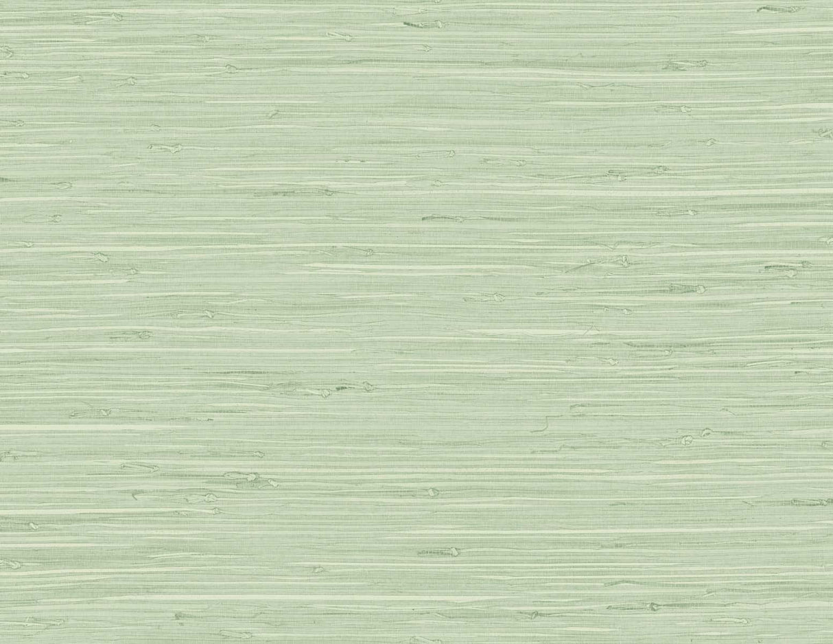 Marion Faux Arrowroot wallpaper in Frosted Grass green faux grasscloth texture