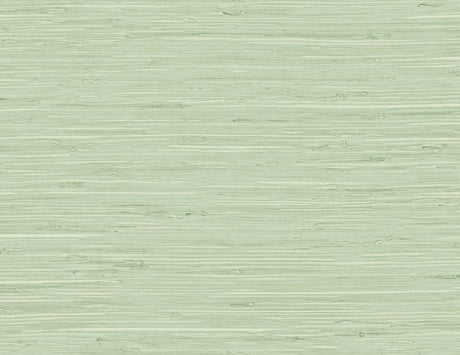 Marion Faux Arrowroot wallpaper in Frosted Grass green faux grasscloth texture