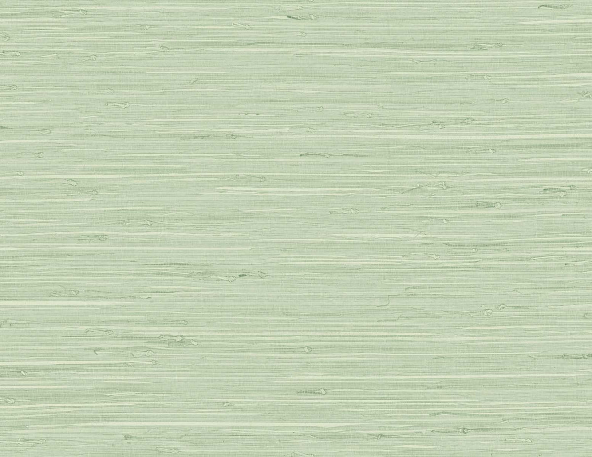 Marion Faux Arrowroot Frosted Grass by Tedlar Textures Faux Grasscloth Vinyl Wallpaper – DuPont TG60535