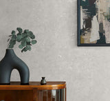 Cement Faux Salt Glaze & Metallic Champagne by Even More Textures Faux Cement Wallpaper – Seabrook Designs TS81218