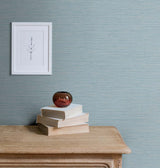 Silk Wind Chill by Even More Textures Textured Vinyl Wallpaper – Seabrook Designs TS81412