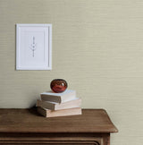 Silk Fawn by Even More Textures Textured Vinyl Wallpaper – Seabrook Designs TS81417