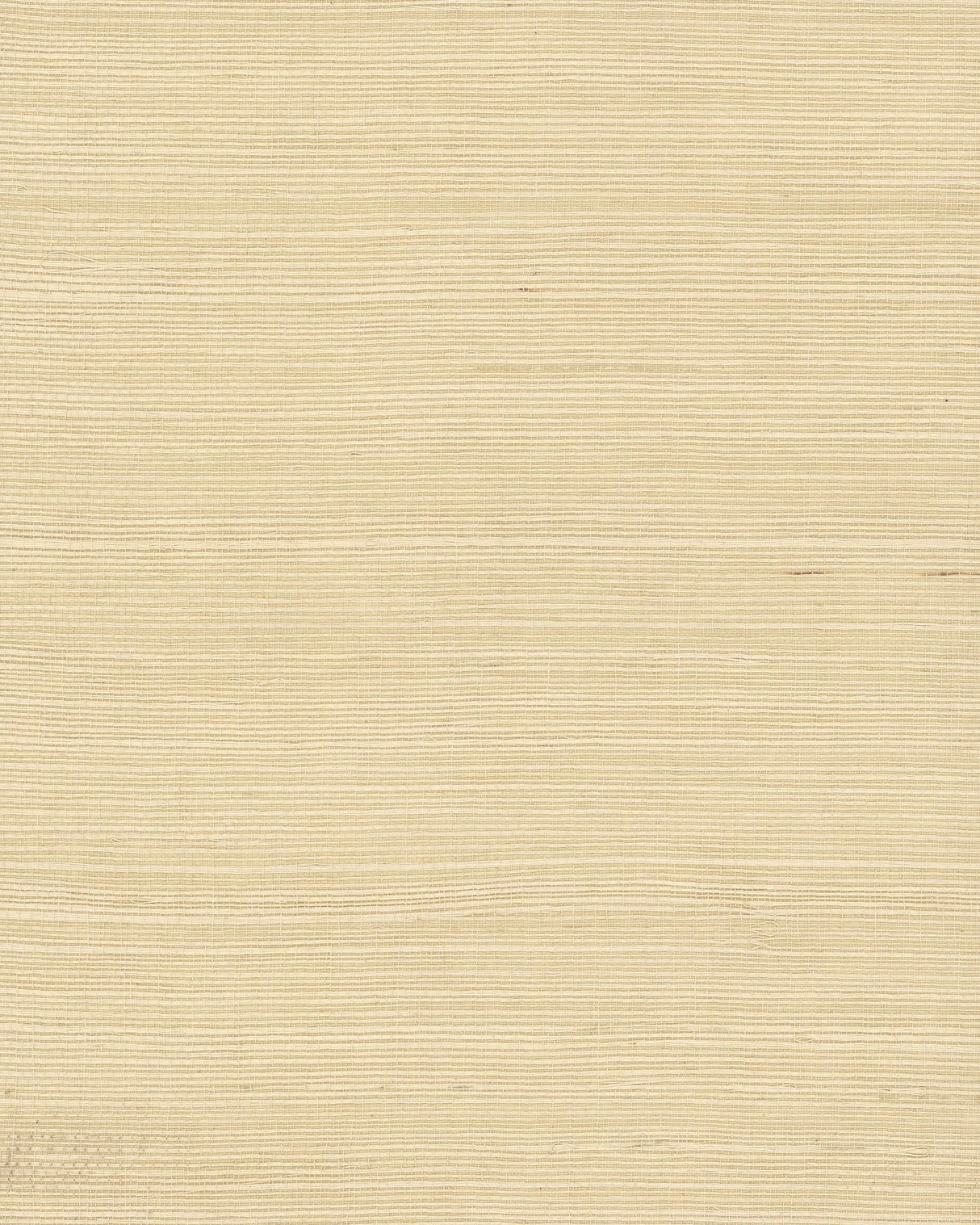 Plain Grass Beige Grasscloth Wallpaper with Textured Woven Look - York VG4400