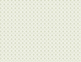Priti Sage Floral Grid Wallpaper by Antonina Vella