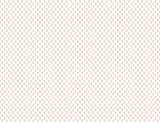 Brioni Rose Floral Stamp Wallpaper in Pink by Antonina Vella