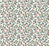 Framboise Pink Berry Vines Wallpaper – VP1412