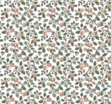 Framboise Blush Berry Vines Wallpaper – VP1414