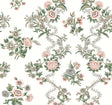 Antonina Vella Genevieve Blush Floral Trail Wallpaper VP1425