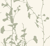 Ginkgo Silhouette sage cork wallpaper by Ronald Redding, 27 in x 27 ft bolt