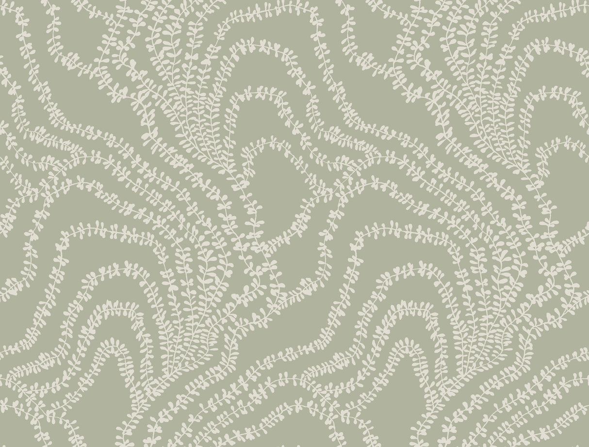 String of Pearls Sage Vine Wallpaper by Ronald Redding – VR1513