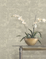 Crystal Cloud Taupe by Ronald Redding Beaded Wallpaper- York Designer Series VR1542