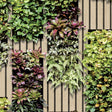 Photoreal Vertical Garden Green wallpaper roll with lush foliage pattern on wood-like slats