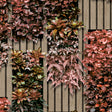 Photoreal Vertical Garden red and green botanical wallpaper roll showing foliage over wood-like slats