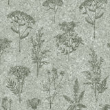 Herbarium Hues sage green cork texture wallpaper with botanical herb illustrations