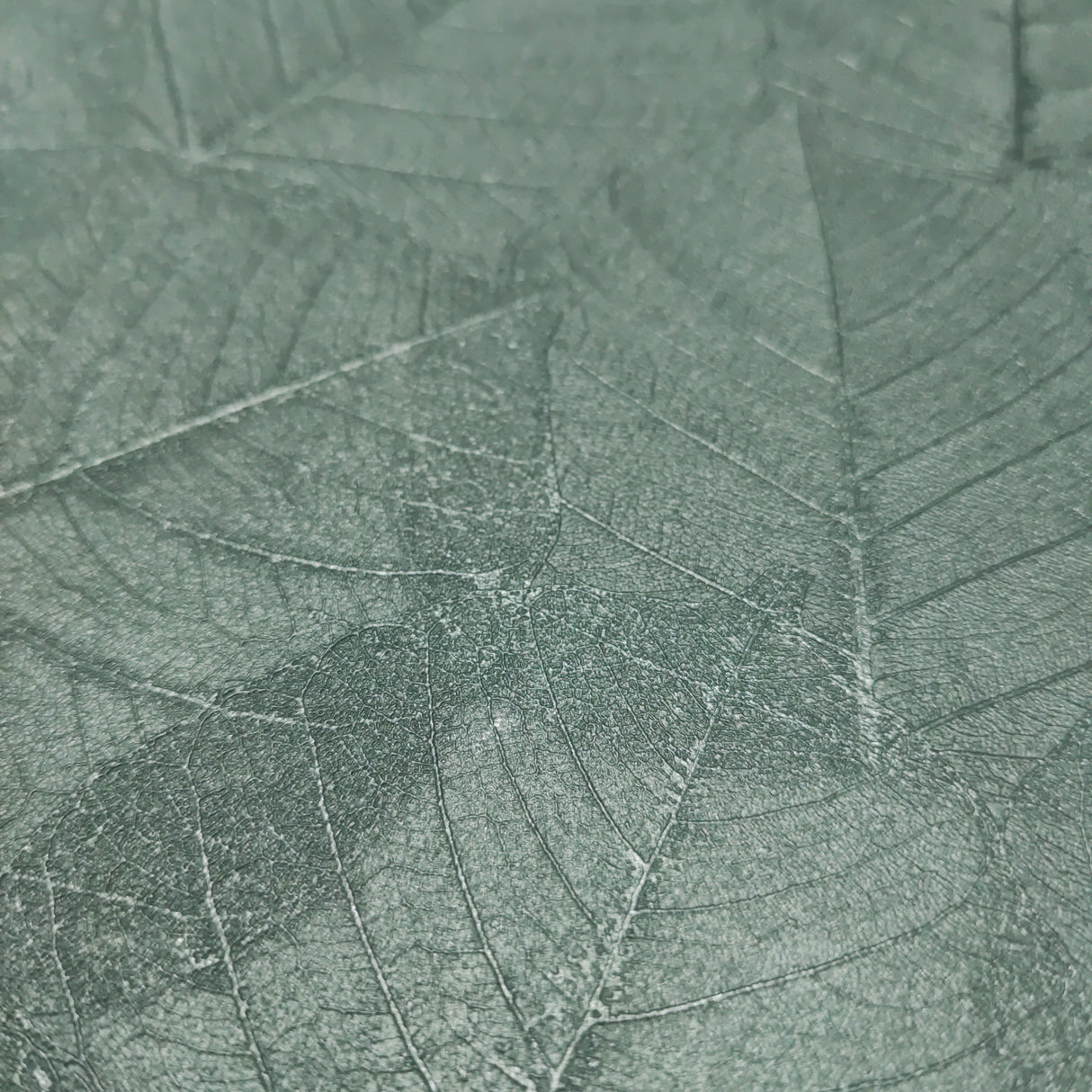 Luminous Leaf Collage Turquoise on Foil with Ultra Fine Emboss Wallpaper – Veer Decor VRBT01-896